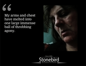 My arms and chest have melted into one large ball of throbbing agony